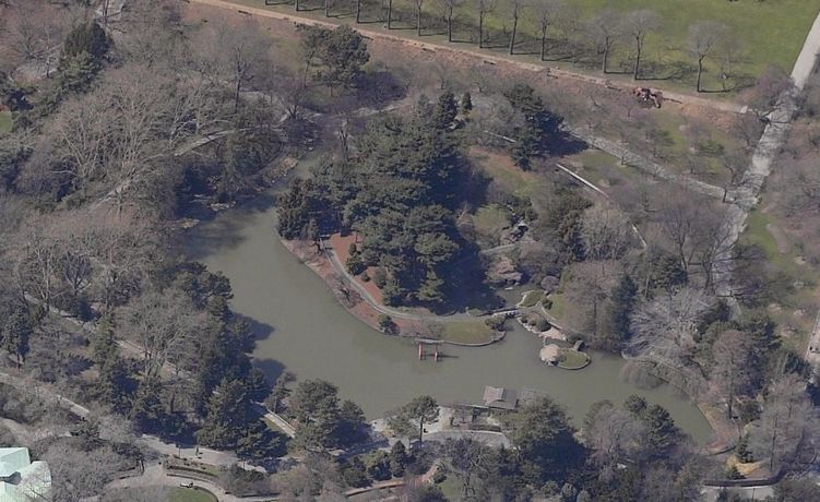 japanese hill and pond garden: japanese hill and pond garden -2
